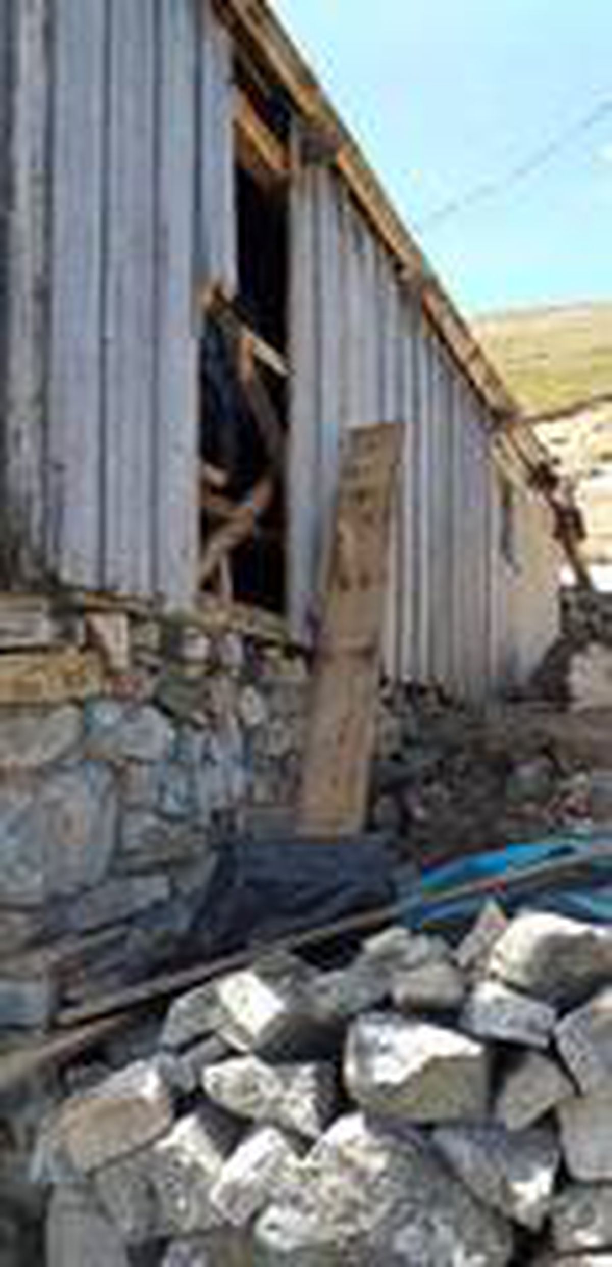 Ayılar Tarkan\'ın yaylasını mesken tuttu