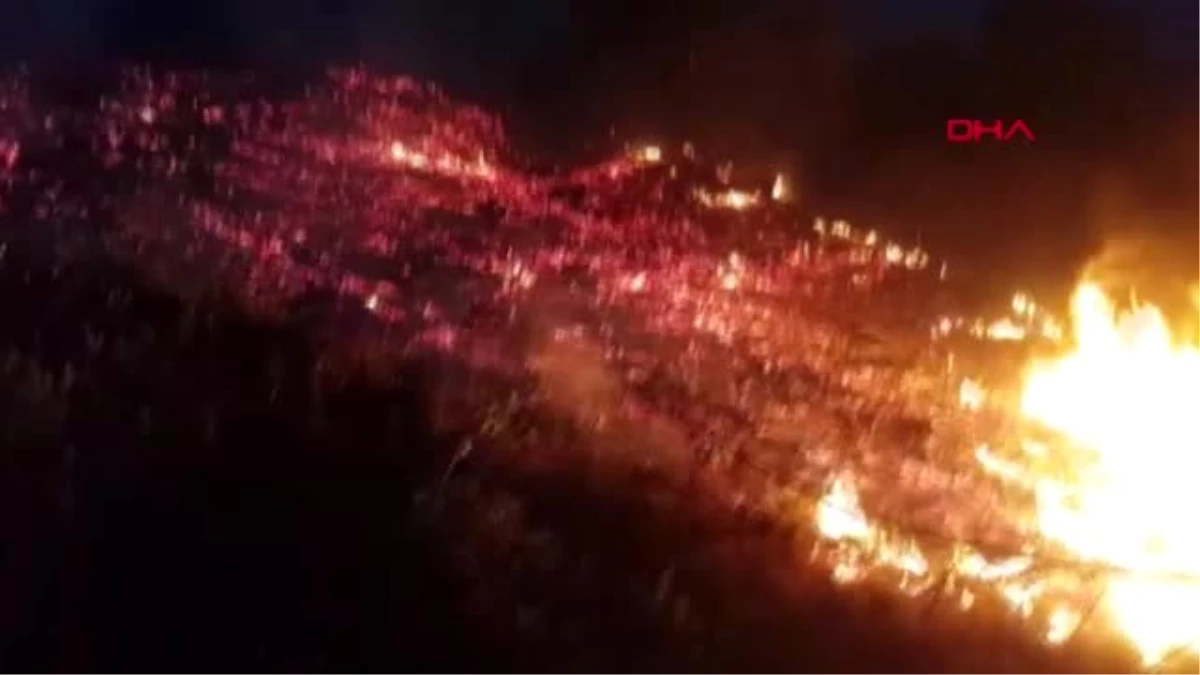 BURSA İnegöl\'de orman yangını