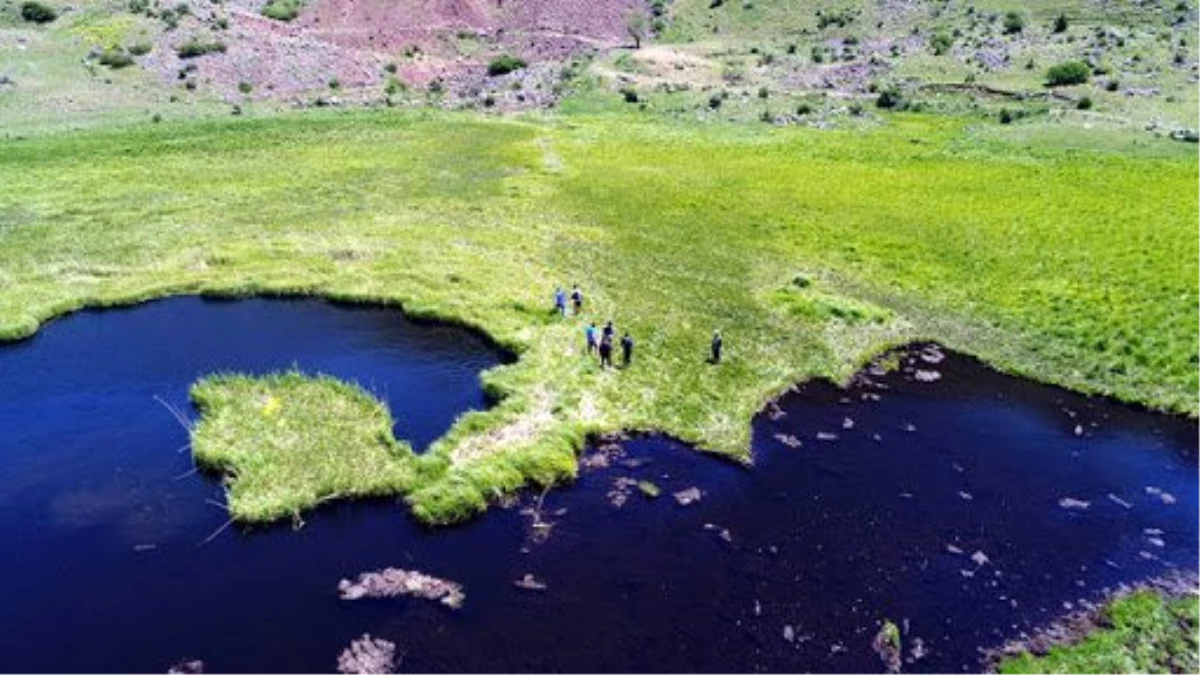 Erzurum\'un "yüzen adaları"na turizm yatırımı