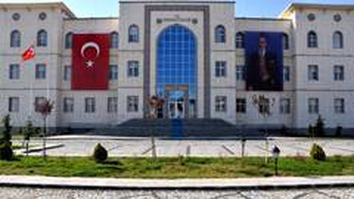Kırıkkale\'de öldürülen kediler için soruşturma başlatıldı