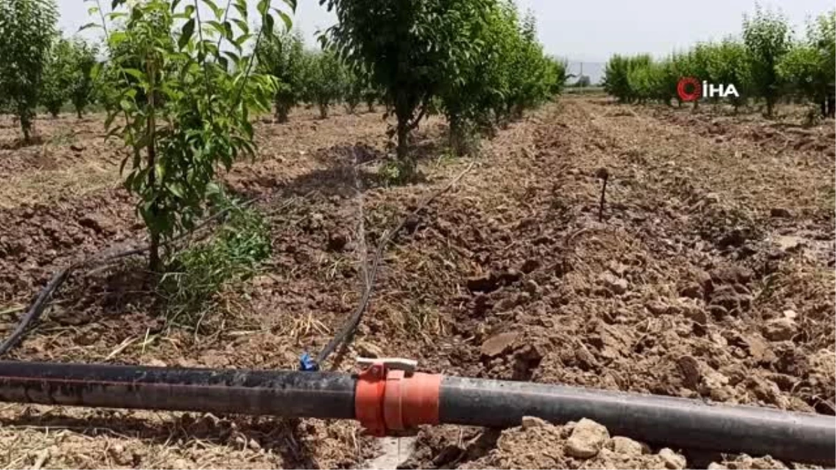 Ödemişli çiftçiler damlama sulamaya yöneliyor