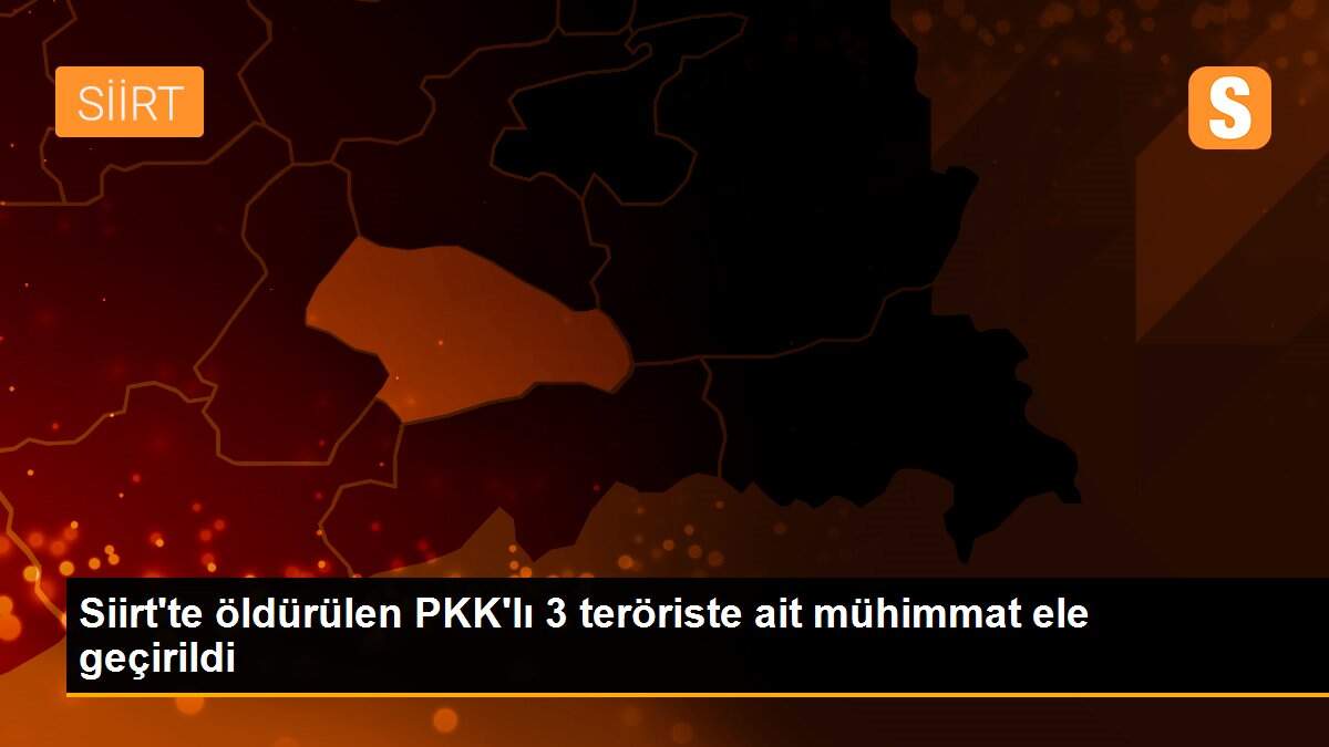 Siirt\'te öldürülen PKK\'lı 3 teröriste ait mühimmat ele geçirildi