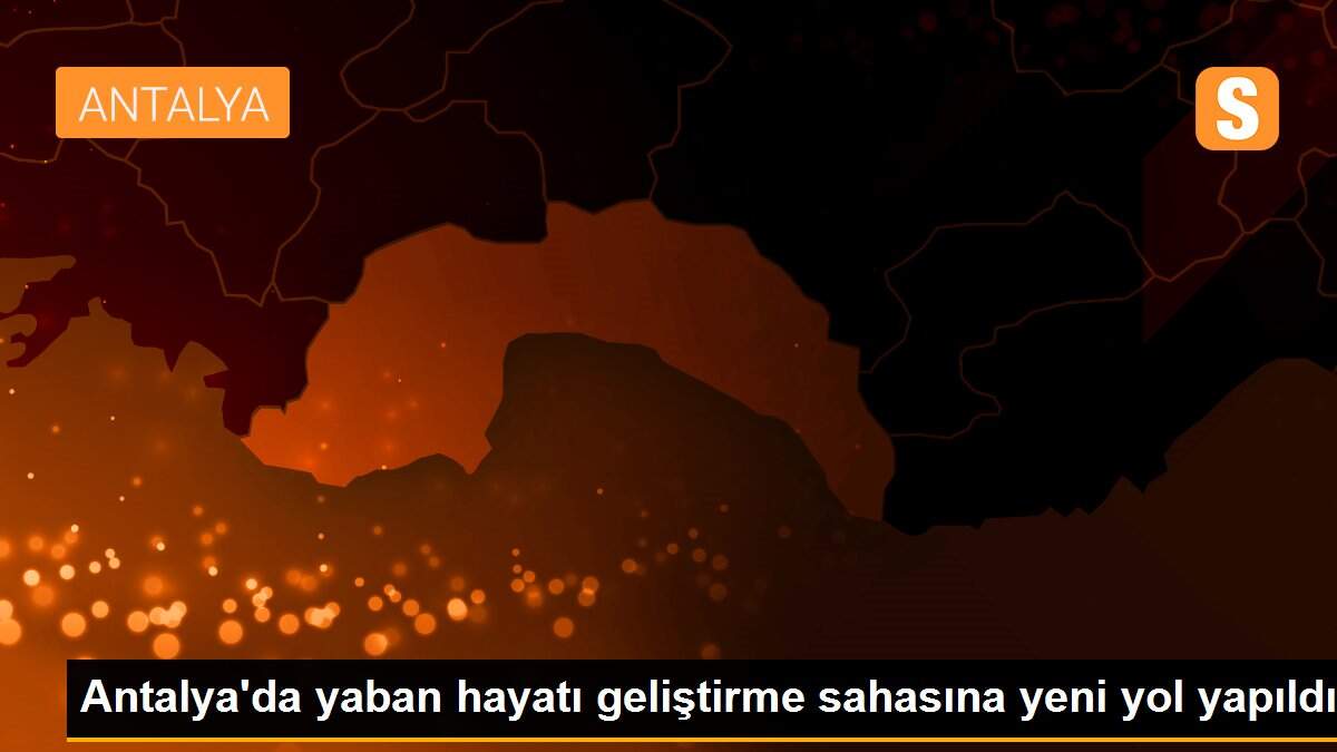 Antalya\'da yaban hayatı geliştirme sahasına yeni yol yapıldı