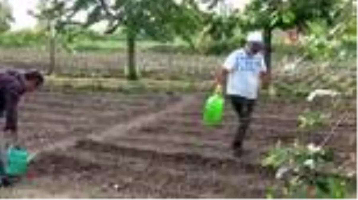 Antrenörler virüs günlerini bahçede değerlendirdiler