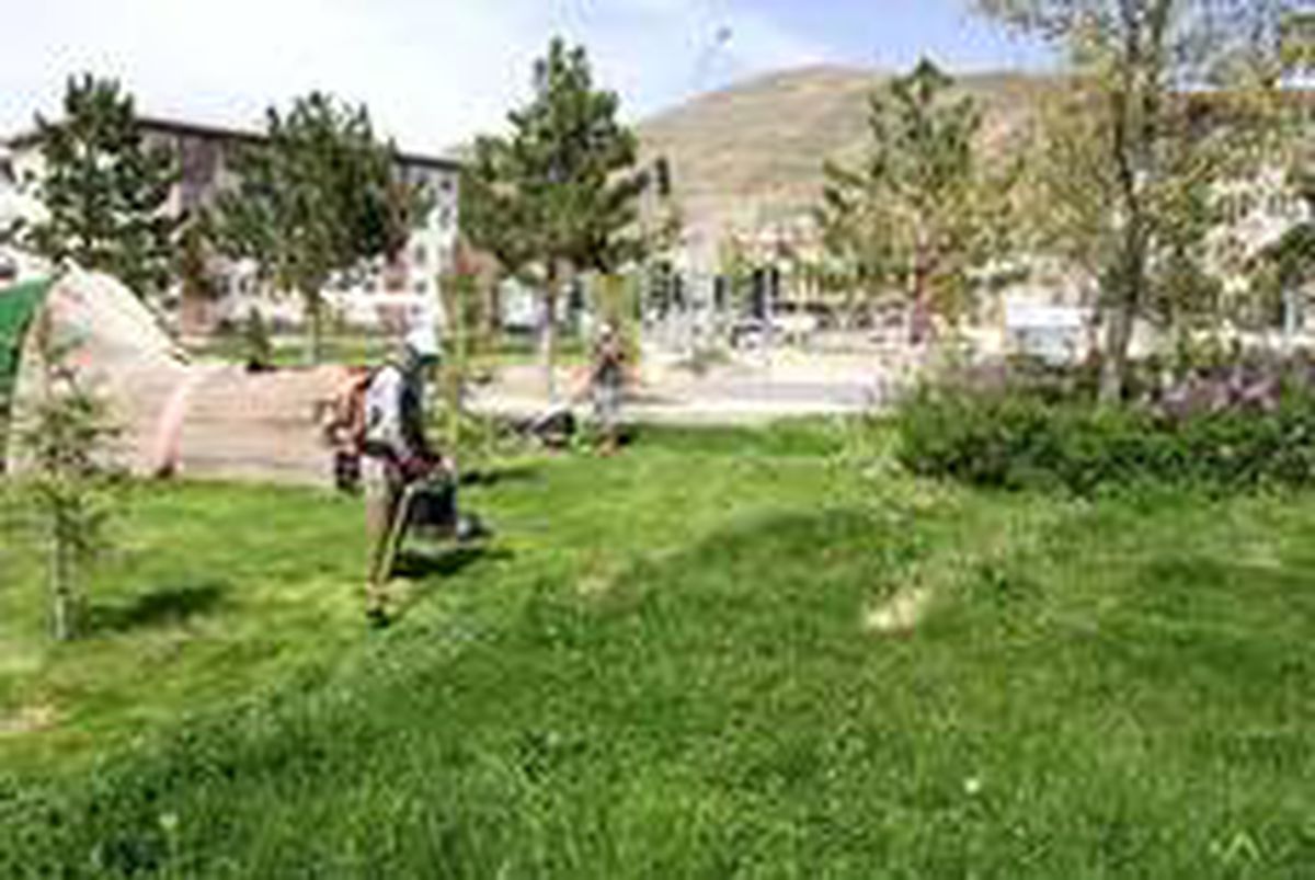 Bayburt\'ta park ve refüjlerde çim biçme çalışması