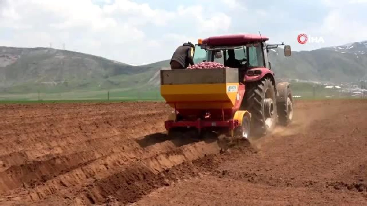 Bitlisli çiftçilerden korona virüsle mücadelede üretim seferberliği