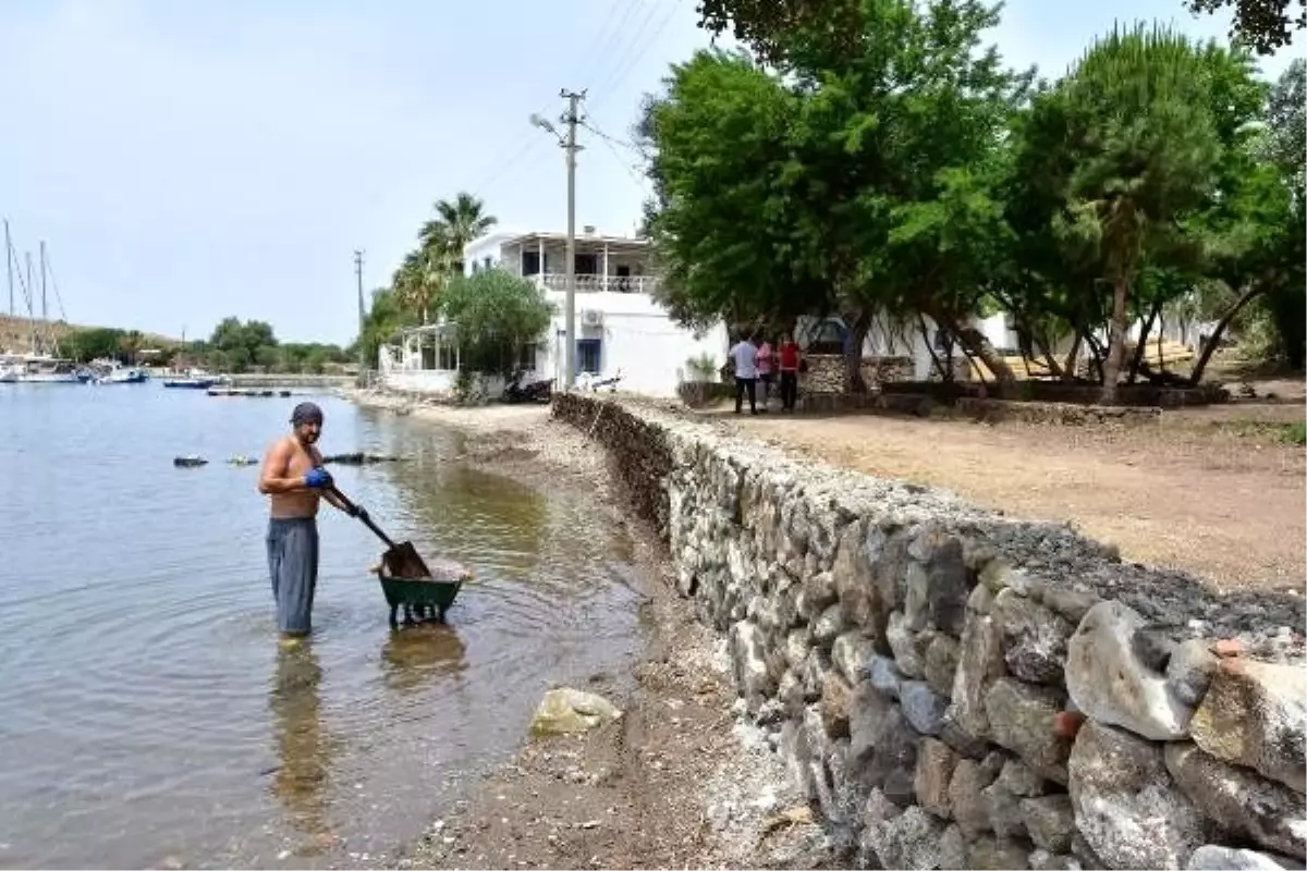 Bodrum\'da 3 bin yıllık antik kentteki kaçak inşaata suç duyurusu