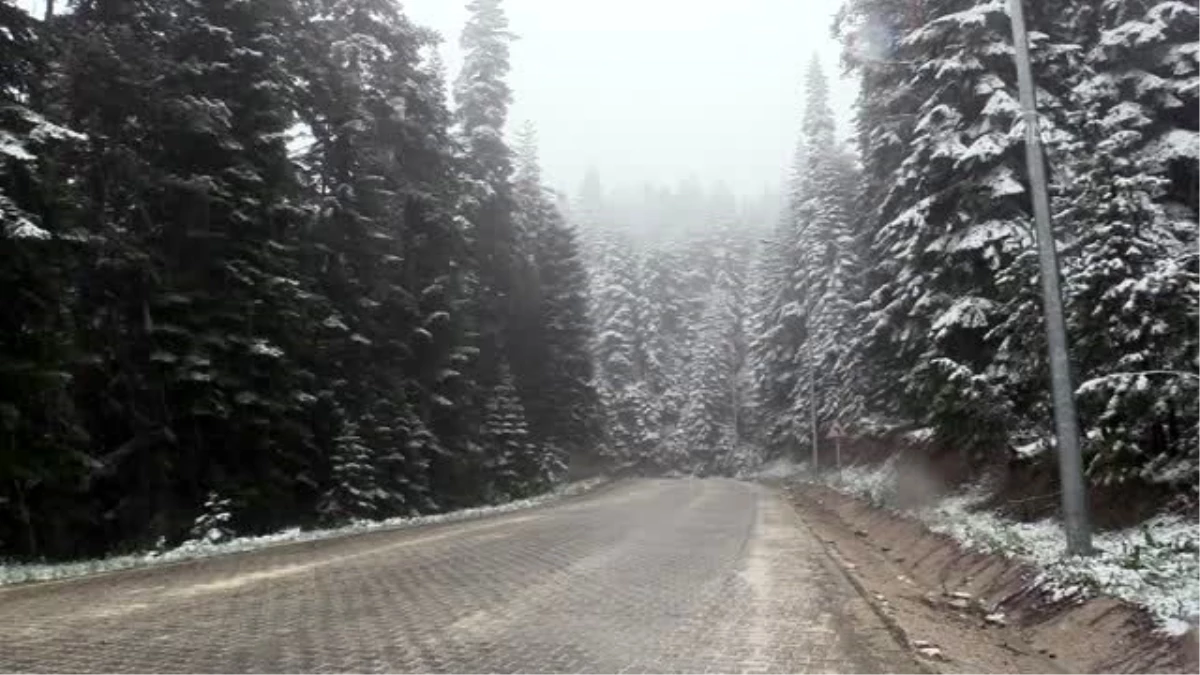 Ilgaz Dağı mayıs ayında yağan karla beyaza büründü