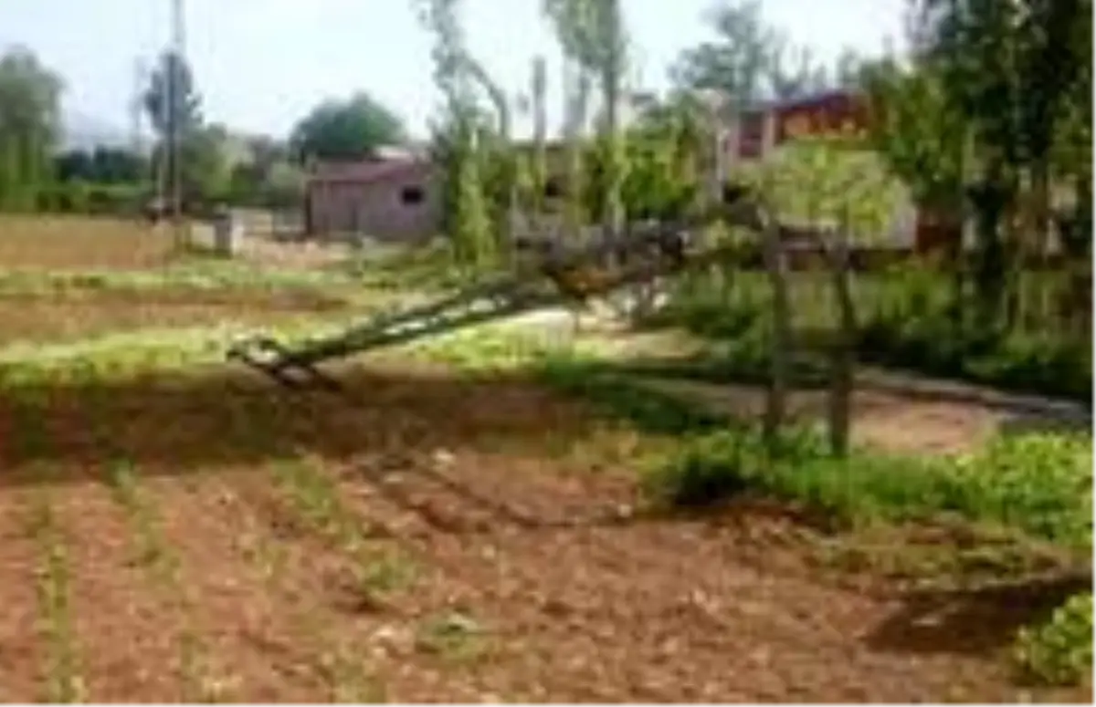 Kahramanmaraş\'ta fırtına, ağaçları devirip elektrik direklerini büktü