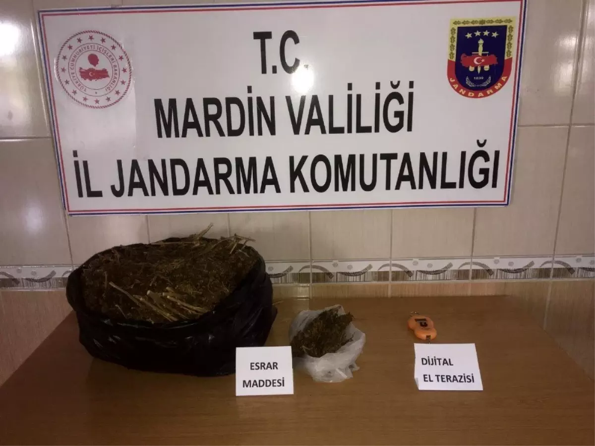 Mardin\'de 5 kilo esrar ele geçirildi