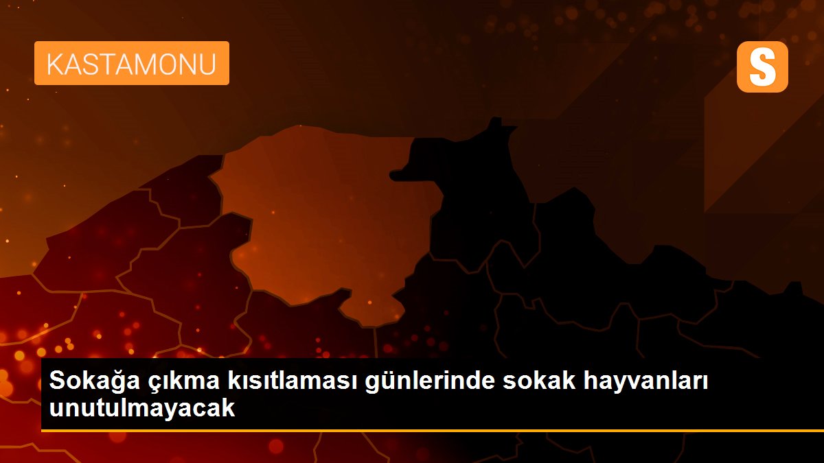 Sokağa çıkma kısıtlaması günlerinde sokak hayvanları unutulmayacak