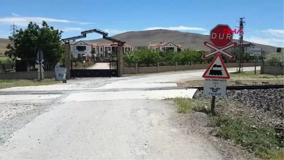 Elazığ\'da tren sürüye çarptı: 21 hayvan öldü