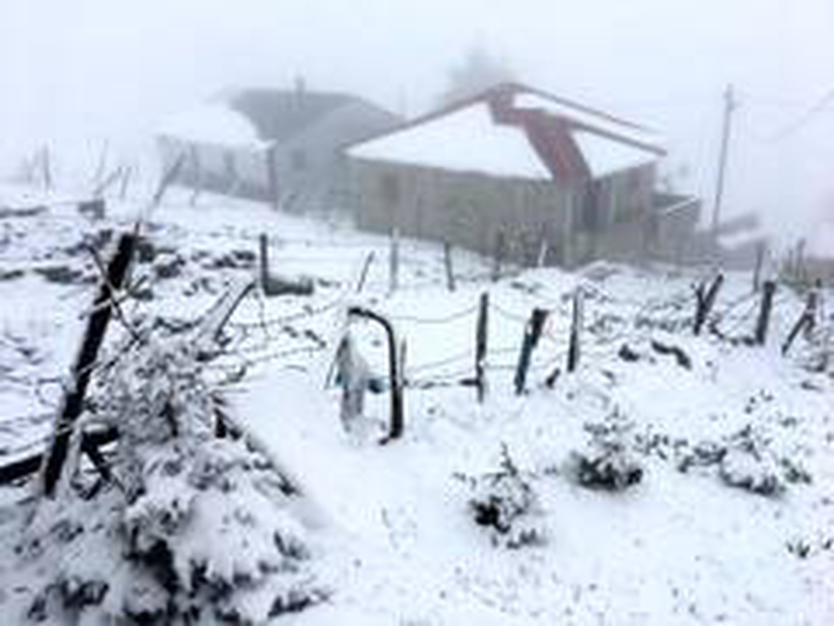 Giresun yaylalarında mayıs karı yaylacıları şaşırttı