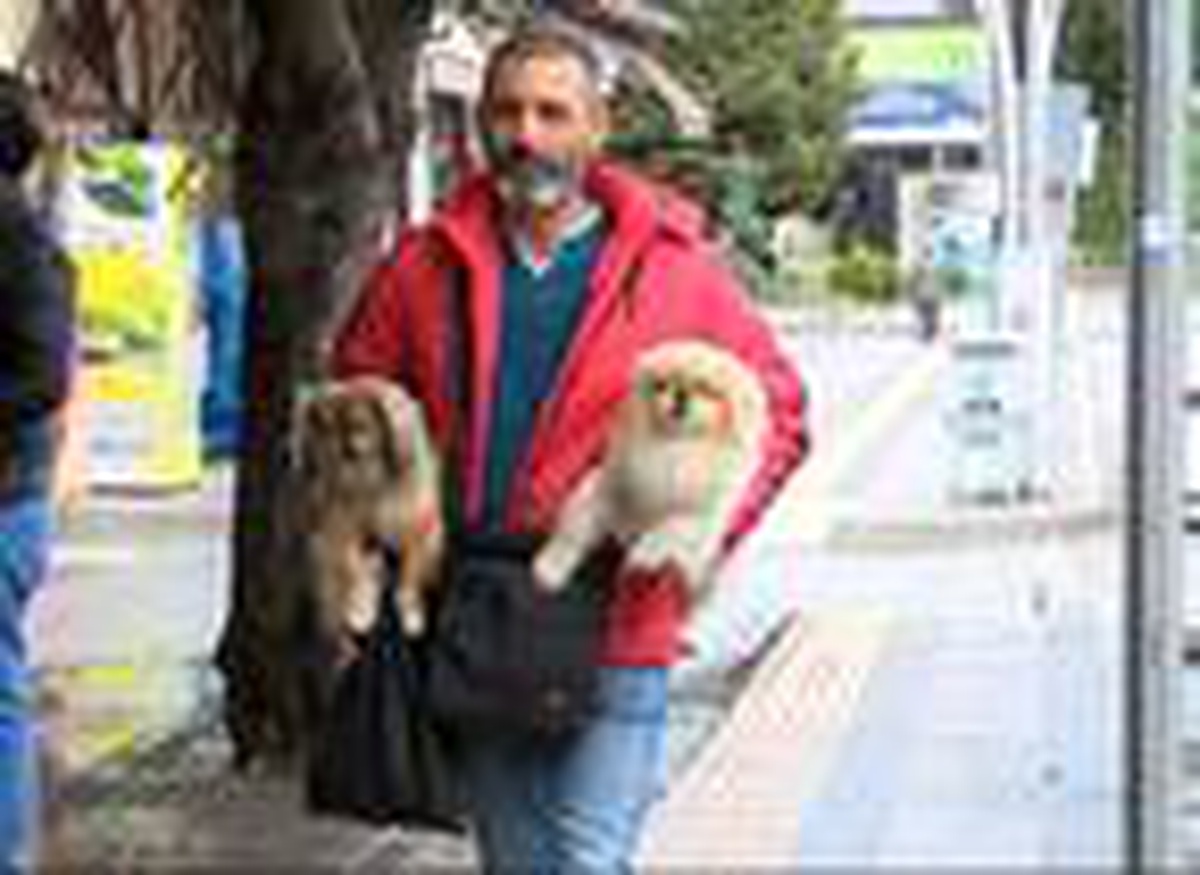 Köpekleriyle çıktı, sokak hayvanlarına mama bıraktı