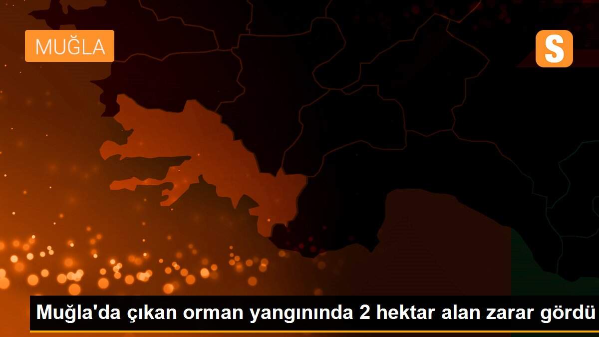 Muğla\'da çıkan orman yangınında 2 hektar alan zarar gördü