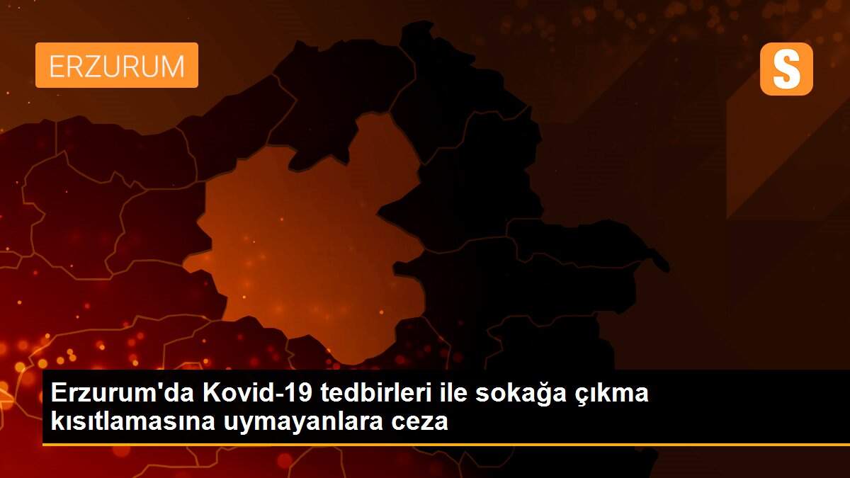 Erzurum\'da Kovid-19 tedbirleri ile sokağa çıkma kısıtlamasına uymayanlara ceza