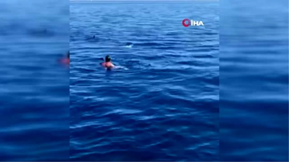 İspanya\'da paralimpik yüzücü köpek balığıyla burun buruna geldi