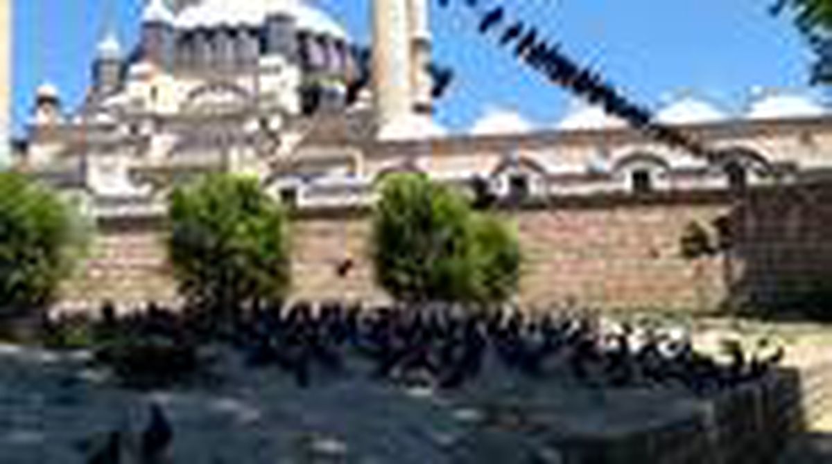 Sokağa çıkma kısıtlamasında Selimiye Meydanı\'ndaki güvercinler unutulmadı