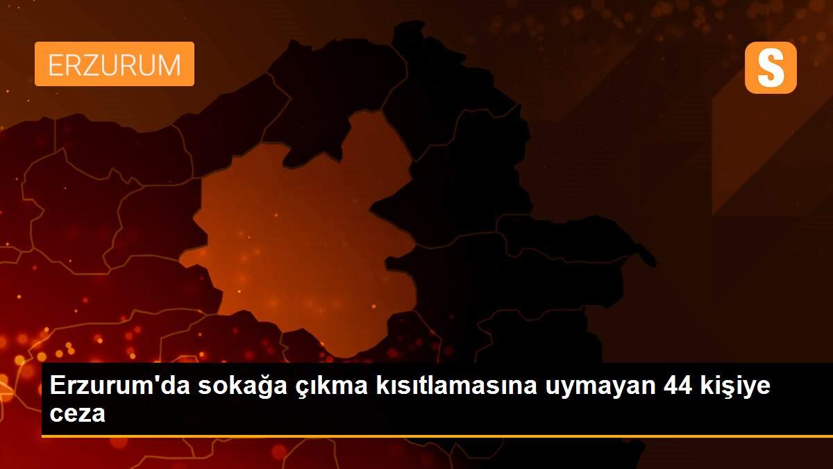 Erzurum\'da sokağa çıkma kısıtlamasına uymayan 44 kişiye ceza