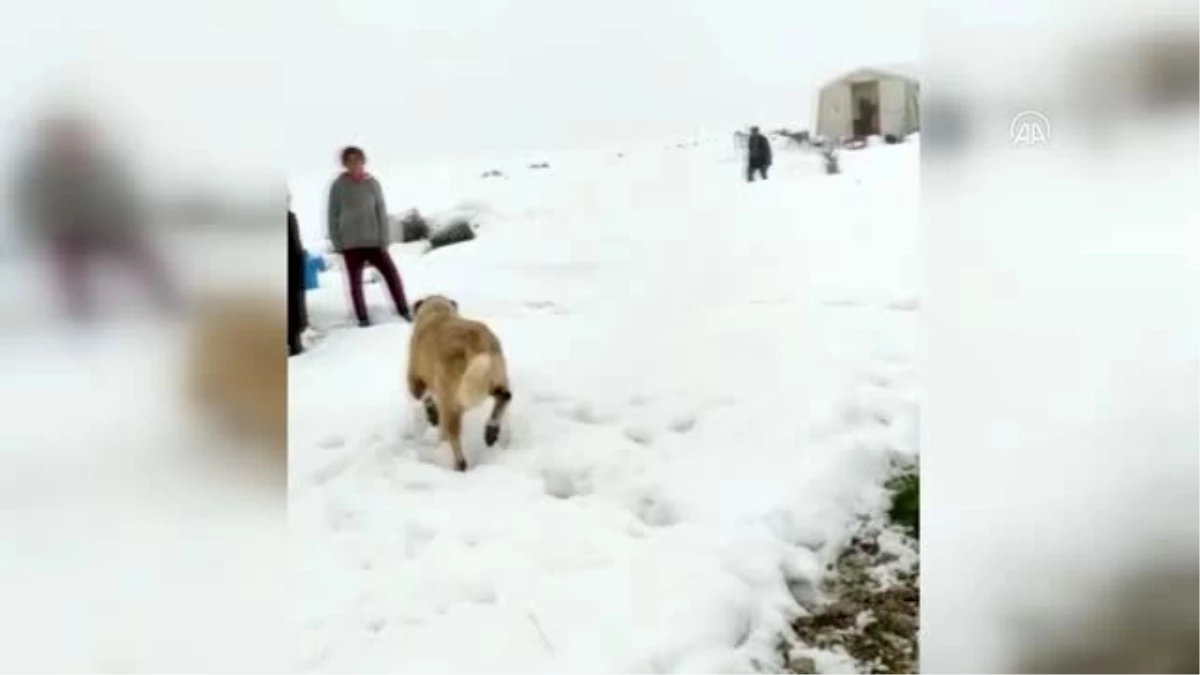 Kahramanmaraş Nurhak\'ta mahsur kalan yaylacılar Jandarma ve AFAD ekiplerince kurtarıldı