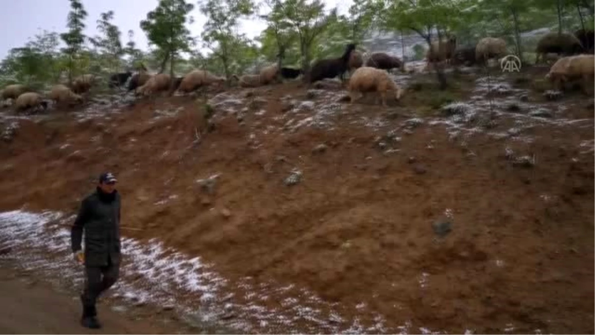 Mayıs sonunda yağan kar besicileri yayladan köye döndürdü