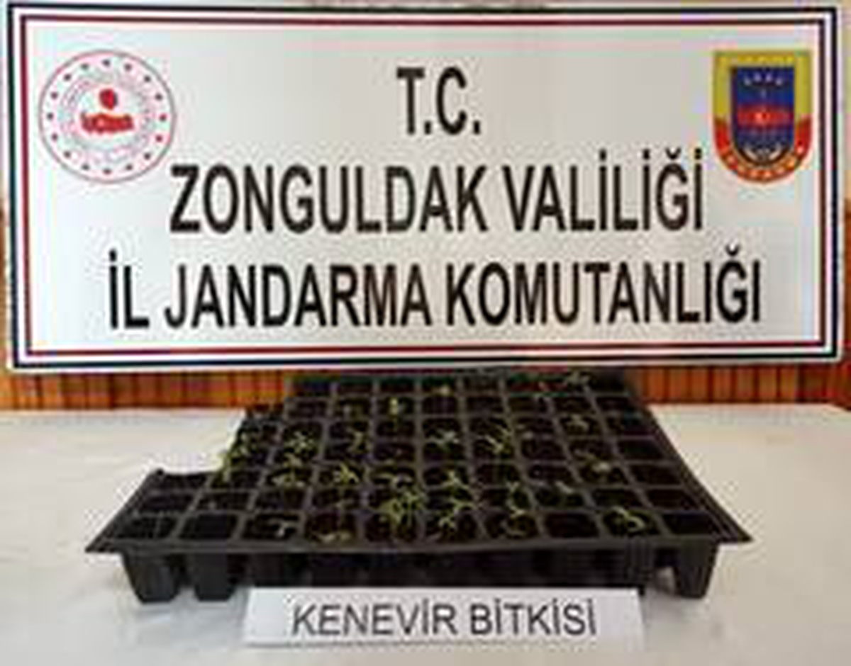 Zonguldak\'ta uyuşturucu operasyonu: 1 gözaltı