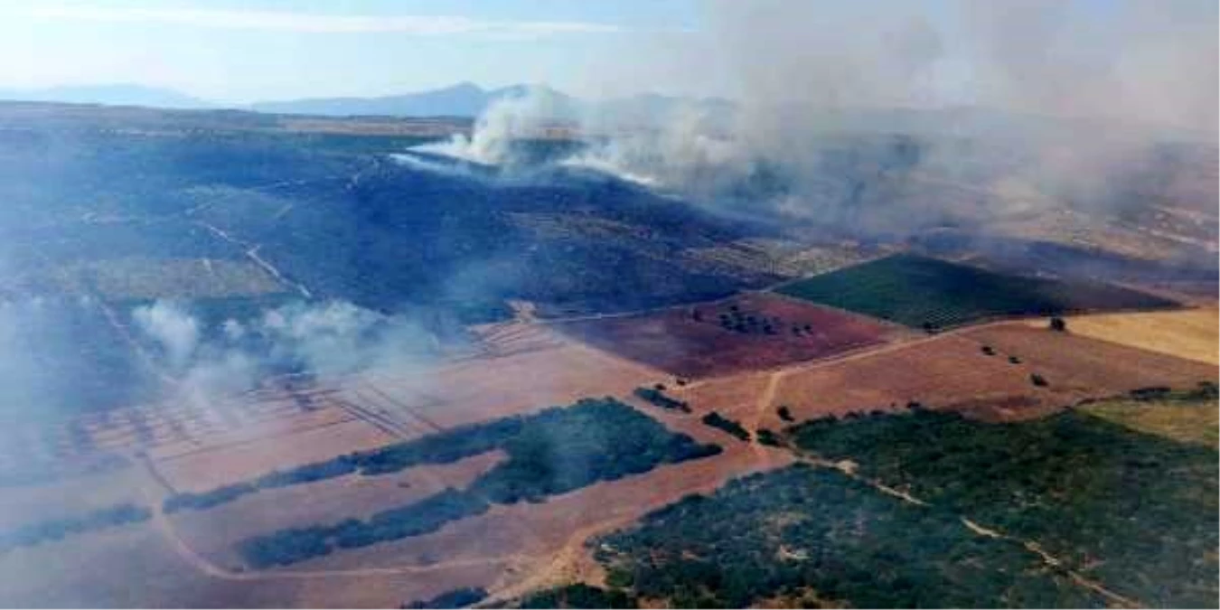 Aydın\'da, 5 saatlik yangında 45 hektar makilik kül oldu