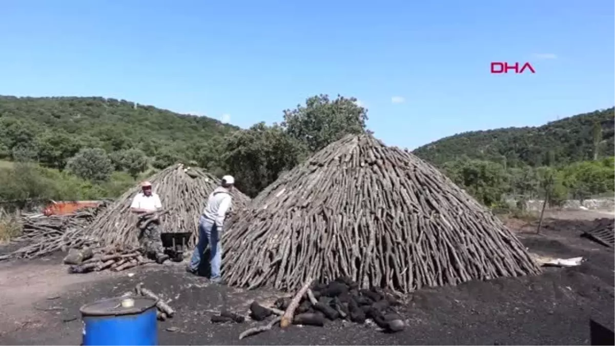 ÇANAKKALE Ekmeklerini mangal kömürü yaparak kazanıyorlar