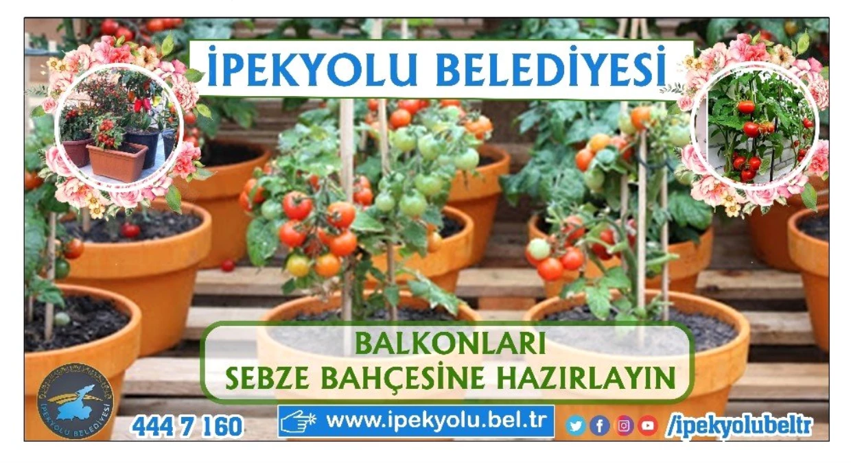 İpekyolu\'nda balkonda tarım dönemi