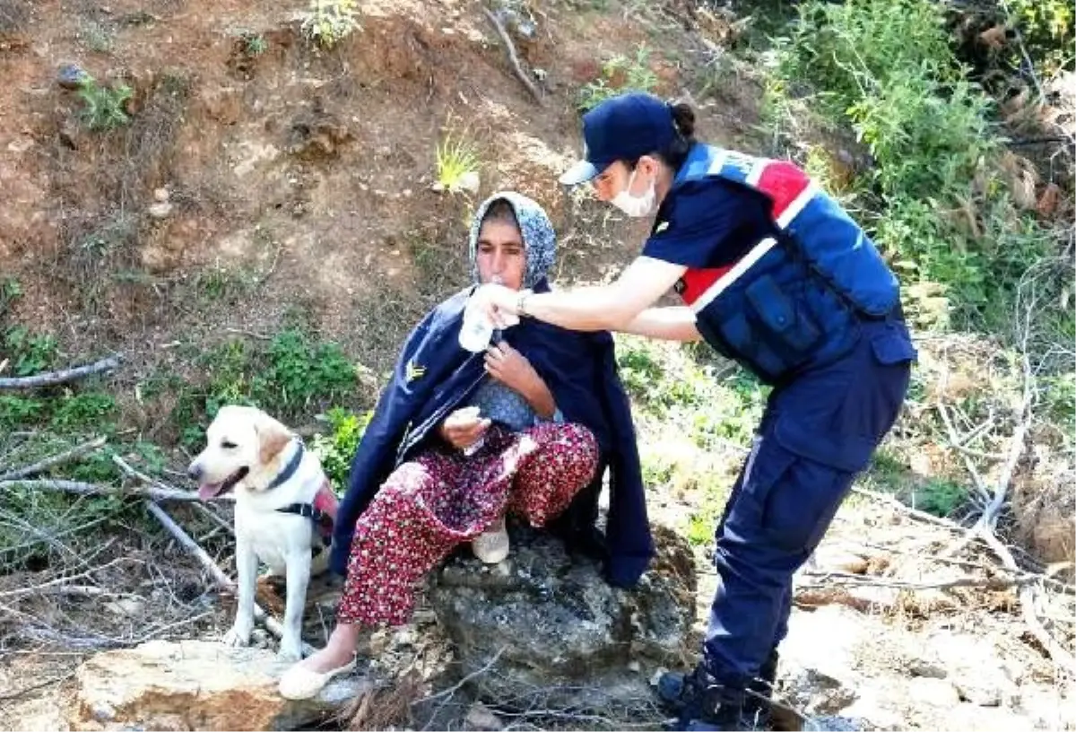 Kayıp kadın, 2 gün sonra ormanlık alanda bulundu