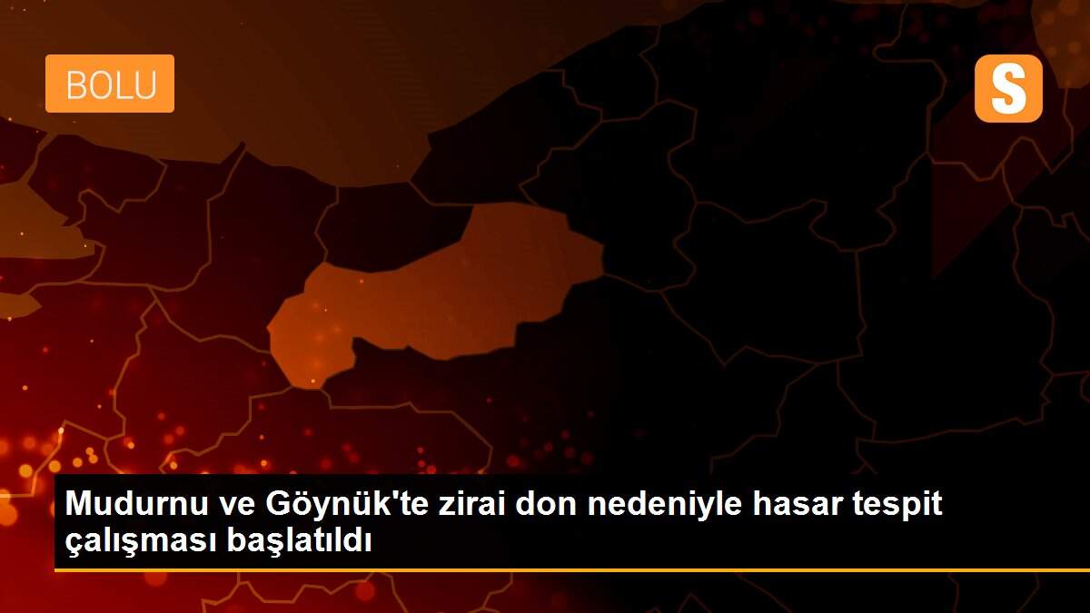 Mudurnu ve Göynük\'te zirai don nedeniyle hasar tespit çalışması başlatıldı