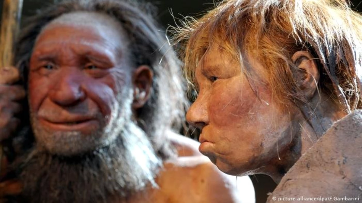 Neandertal geni doğurganlığı artırıyor
