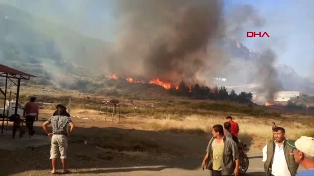 Orman yangında 80 dönüm muz serası zarar gördü