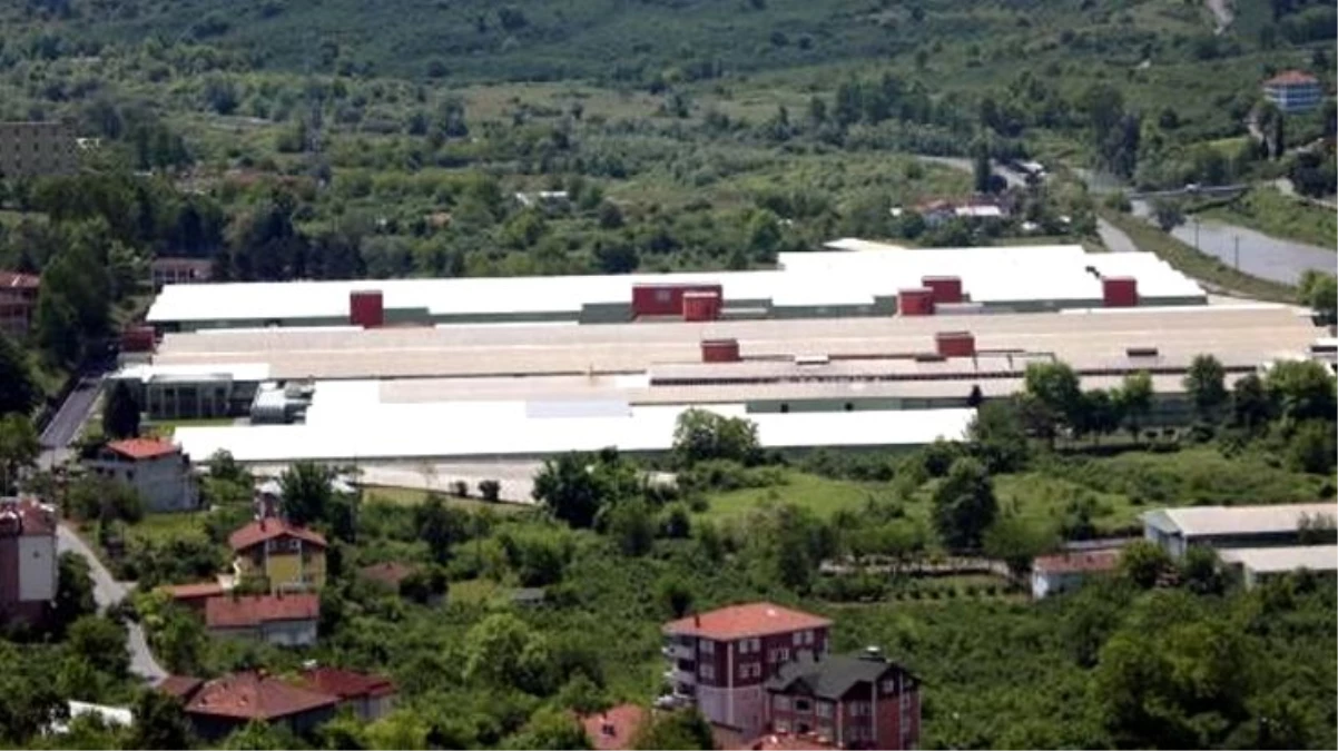 Zonguldak\'taki iplik fabrikasında koronavirüs testi pozitif çıkan işçi sayısı 13\'e yükseldi