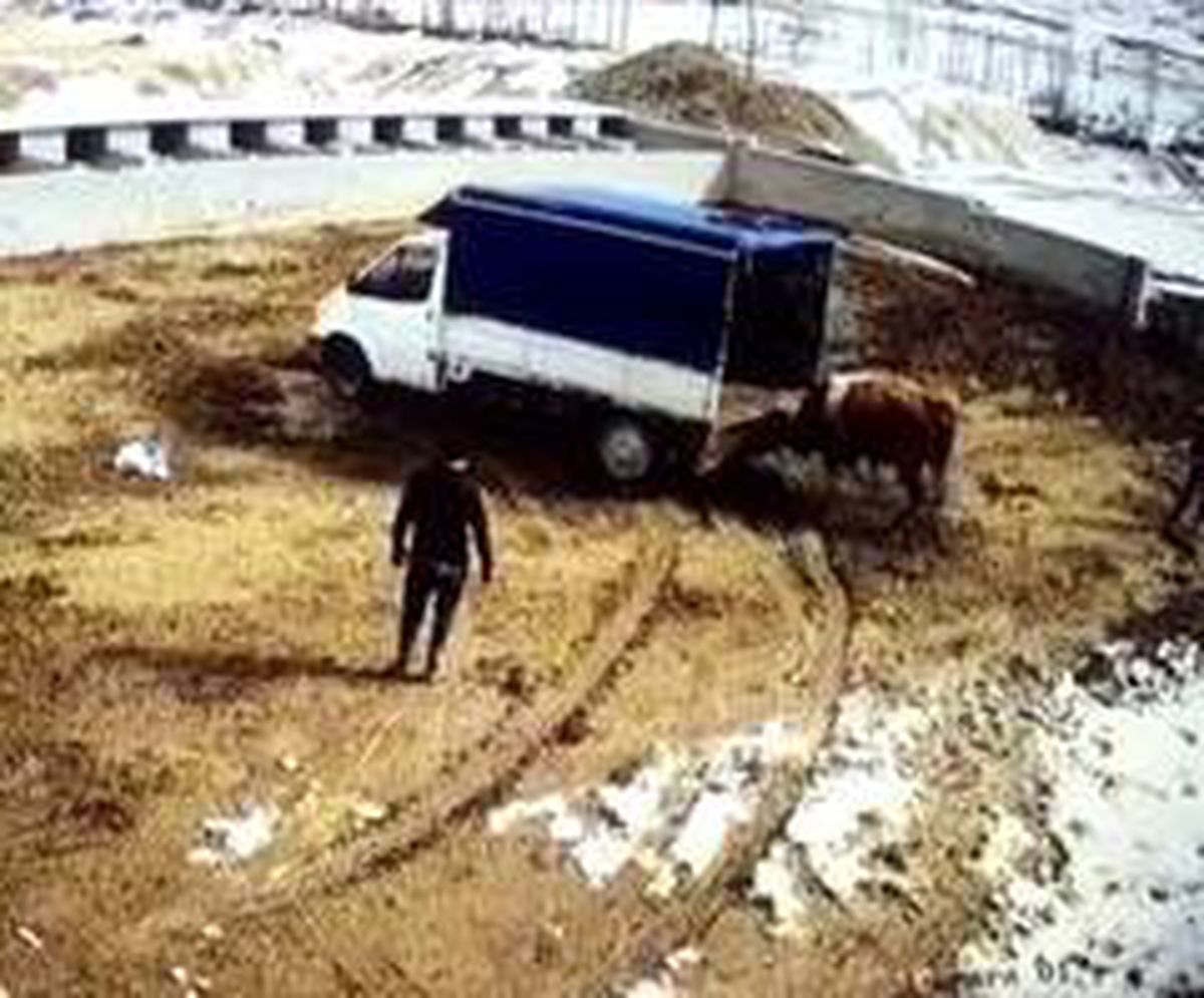 Azgın boğa önce aracı itti sonra sahiplerini kovaladı