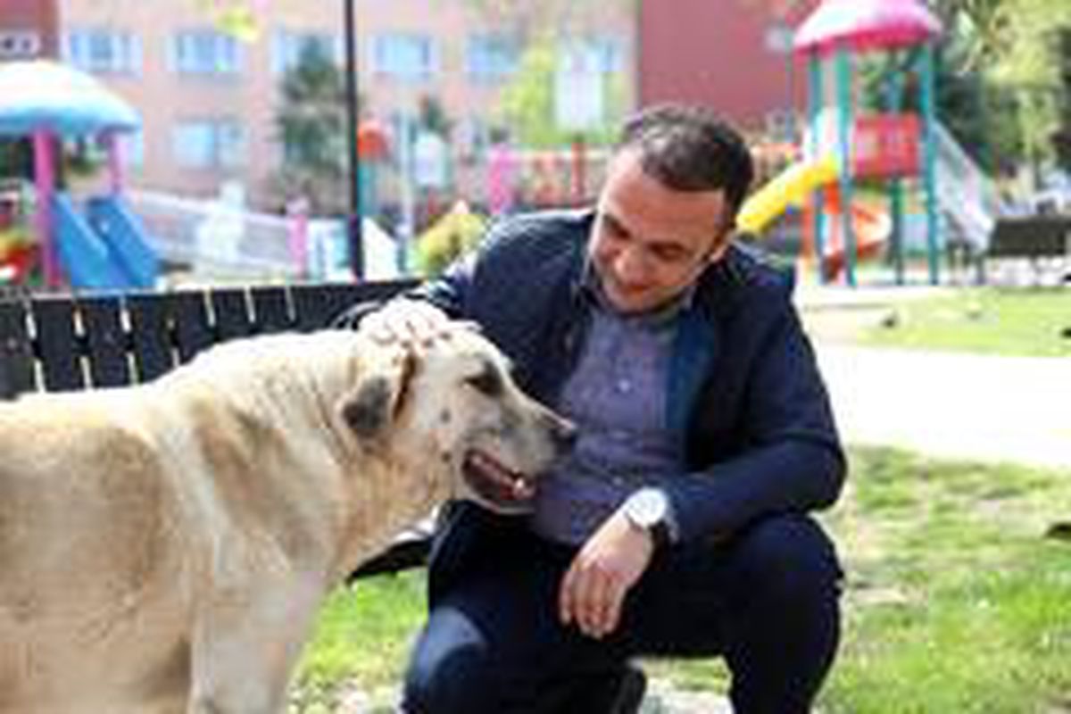 Başkan Kibar: "En zor olan süreci tamamladık"