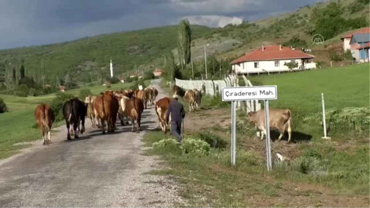 Bir mahalle karantinaya alındı