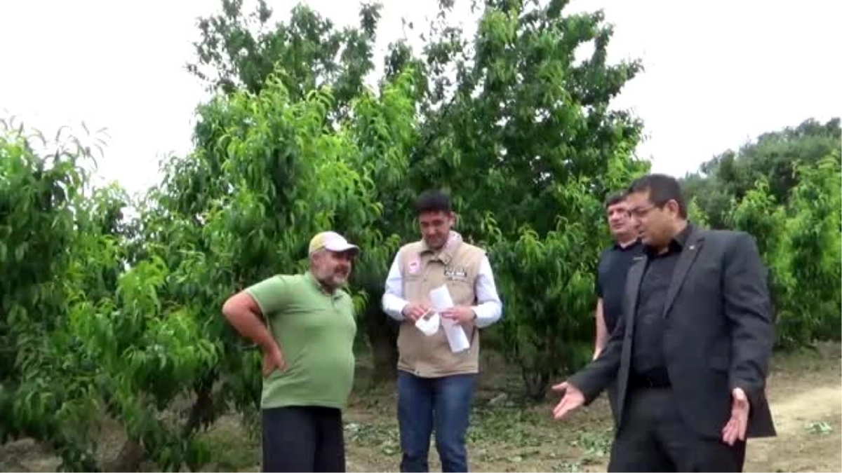 Çanakkale İl Tarım ve Orman Müdürü Karadağ\'dan kiraz üreticilerine ziyaret