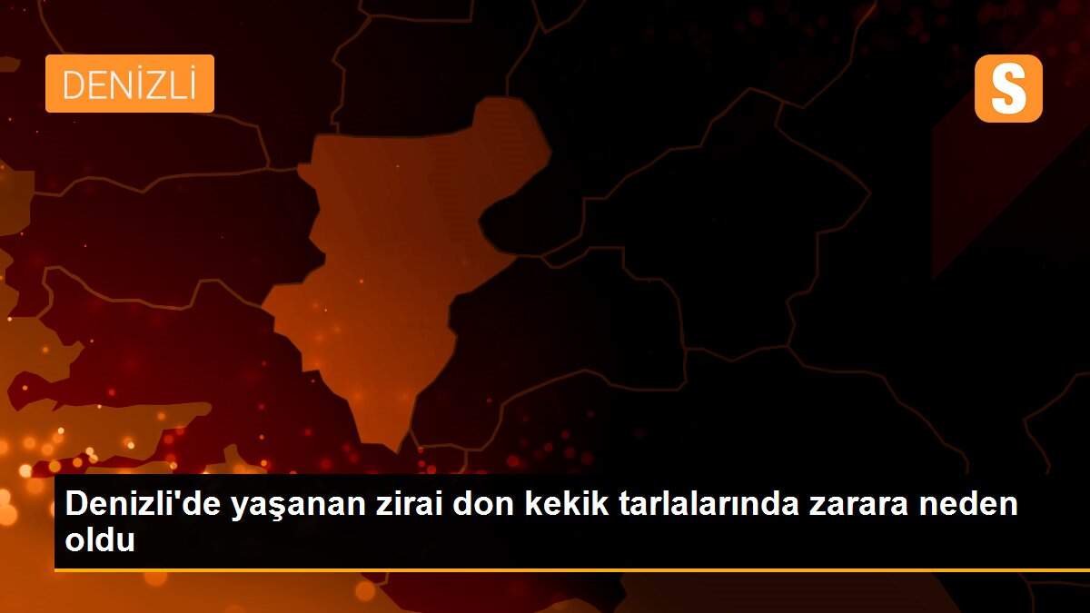 Denizli\'de yaşanan zirai don kekik tarlalarında zarara neden oldu