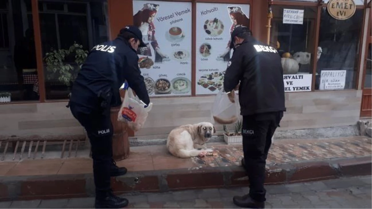Emet polisi yaşlılara yardım etti, sokak hayvanlarını doyurdu