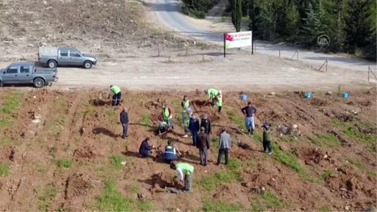 İdlib Şehitleri Hatıra Ormanı, Mersin\'e yeniden "nefes" olacak