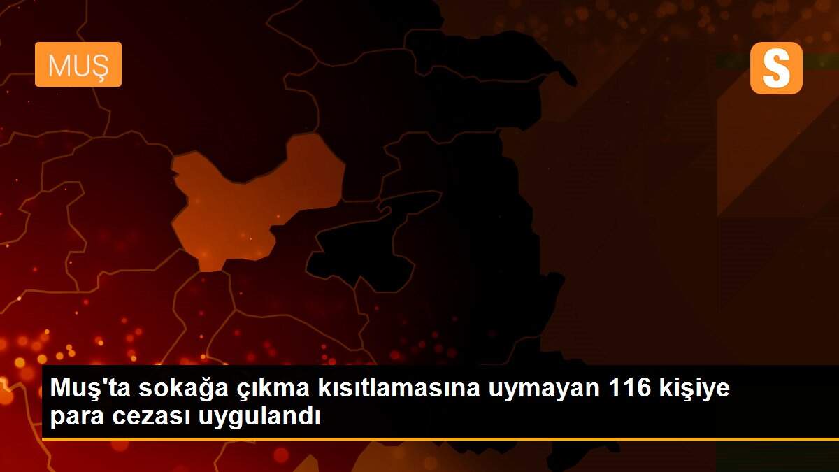 Muş\'ta sokağa çıkma kısıtlamasına uymayan 116 kişiye para cezası uygulandı