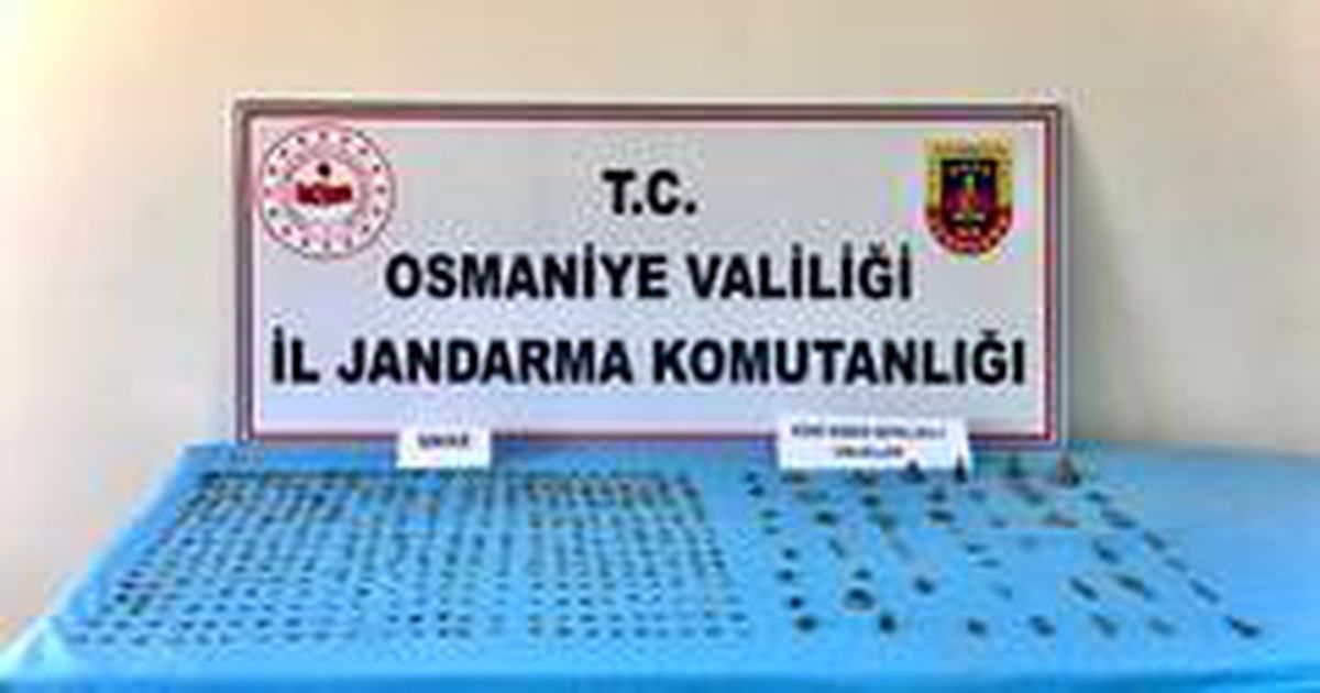 Osmaniye\'de tarihi eser operasyonu