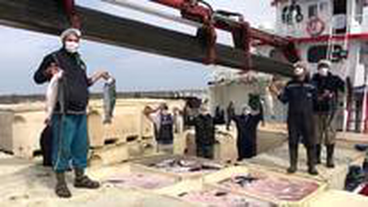 Su ürünleri yetiştiricilerine işlenmiş ürün desteği