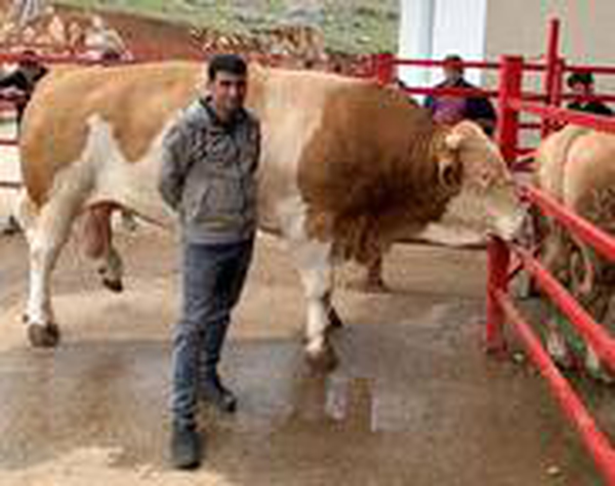 "Zeus" 919,6 kiloyla rekor kırdı