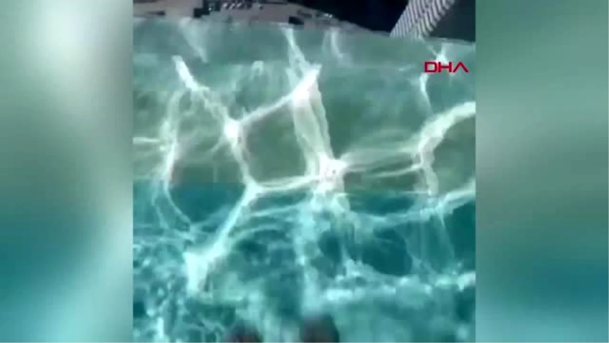 ABD\'de salgından kaçan aileler şeffaf cam tabanlı havuzlu apartmana yoğun ilgi gösteriyor