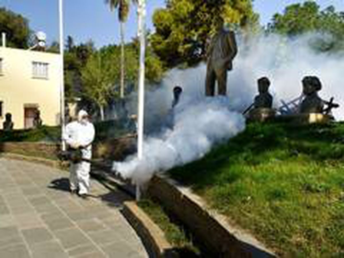 Adana\'da vektörle savaş