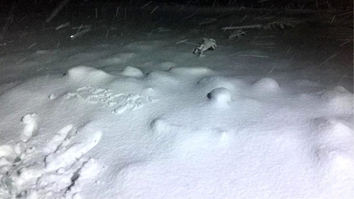 Afyonkarahisar\'ın Kumalar Yaylası\'na haziran ayına 3 gün kala kar yağdı