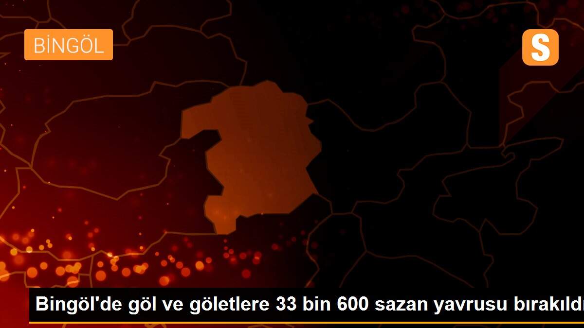 Bingöl\'de göl ve göletlere 33 bin 600 sazan yavrusu bırakıldı