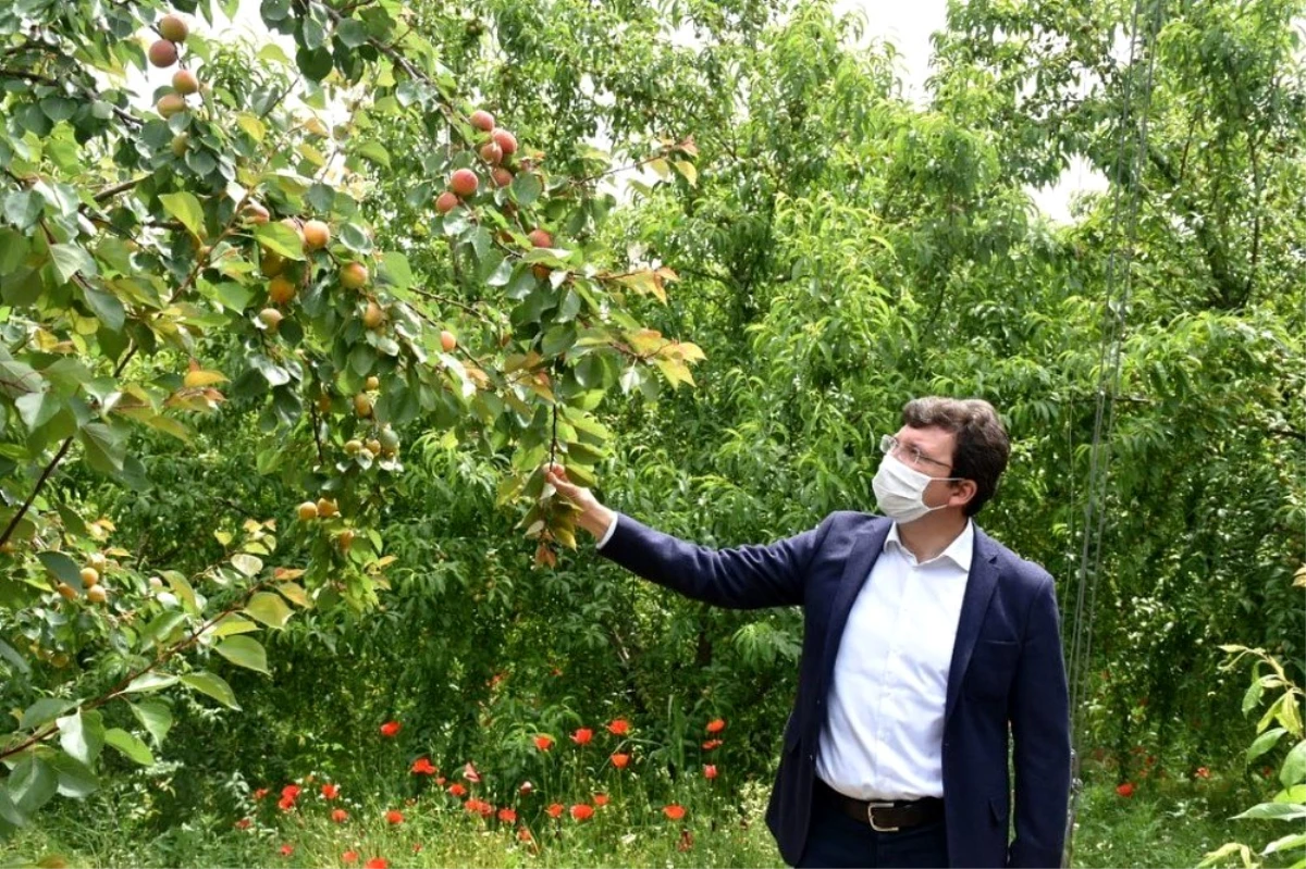 Dışarda Kaymakam, içerde öğrenci